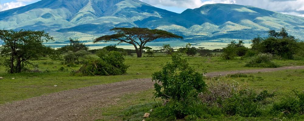 Mountains of the Serengeti